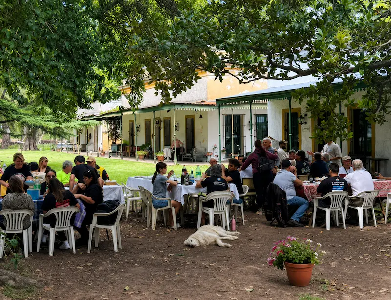 Grupo de amigos tomando el té durante una tarde de campo